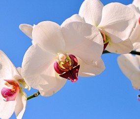 保山正规助孕捐卵机构，附正规捐卵机构报名表！